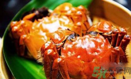 蟹膏是螃蟹的什么？蟹膏的營養(yǎng)價值