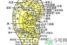 每天揉耳朵有什么好處？?揉耳朵的正確方法是什么？