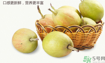 孕婦能吃香梨嗎？香梨孕婦可以吃嗎？