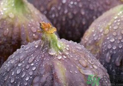 吃無花果要剝皮嗎？吃無花果皮有什么好處？