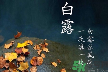 白露節(jié)吃什么？白露節(jié)的傳統(tǒng)美食有哪些？