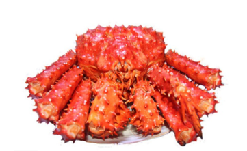 智利帝王蟹怎么吃？智利帝王蟹好吃嗎？