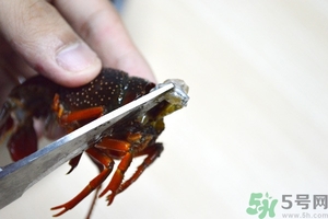 活蝦怎么處理干凈蝦線？活蝦怎么去蝦線？