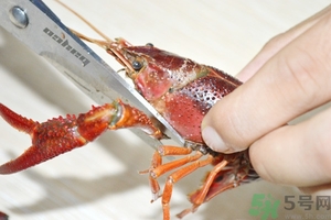 活蝦怎么處理干凈蝦線？活蝦怎么去蝦線？