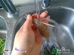 活蝦怎么處理干凈蝦線？活蝦怎么去蝦線？