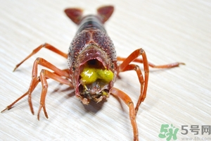 活蝦怎么處理干凈蝦線？活蝦怎么去蝦線？