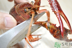 活蝦怎么處理干凈蝦線？活蝦怎么去蝦線？