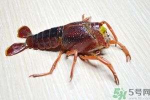 活蝦怎么處理干凈蝦線？活蝦怎么去蝦線？