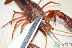 活蝦怎么處理干凈蝦線？活蝦怎么去蝦線？