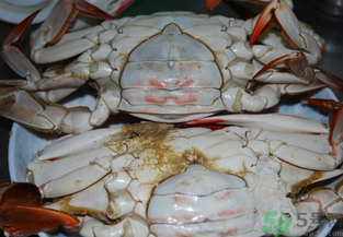 海蟹蒸多長時間？海蟹蒸多長時間最好吃？