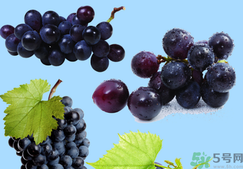 巨峰葡萄怎么打崔紅藥？葡萄怎么崔紅？
