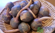 慈姑的營養(yǎng)價(jià)值 慈姑的功效與作用