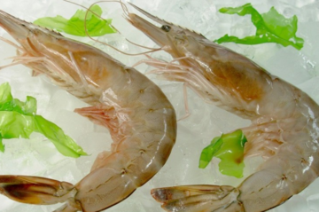 海蝦怎么保存？活海蝦怎么保存？