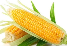 玉米有酸味還能吃嗎?玉米有酸味可以吃嗎?