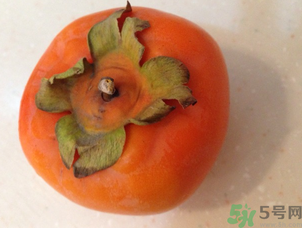 孕婦可以吃懶柿子嗎？懶柿子孕婦可以吃嗎？