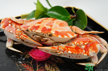 海蟹怎么保存？活海蟹怎么保存？