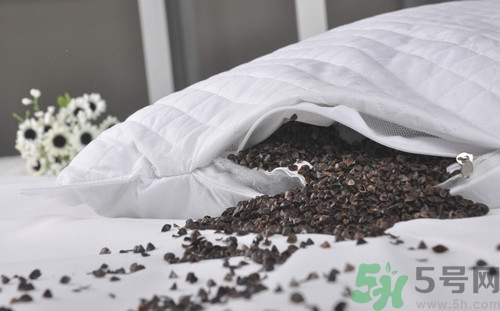 蕎麥枕頭嬰兒能用嗎?蕎麥枕頭嬰兒用好嗎 蕎麥枕頭嬰兒能用嗎?蕎麥枕頭嬰兒用好嗎