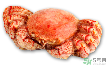 紅毛蟹多少錢一斤？紅毛蟹價(jià)格