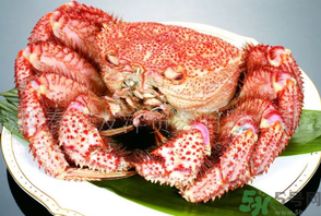 紅毛蟹怎么吃？紅毛蟹怎么做好吃？