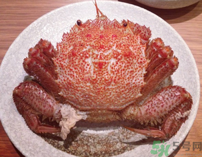 紅毛蟹怎么吃？紅毛蟹怎么做好吃？