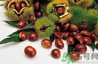 空腹能吃生板栗嗎？生吃板栗有什么好處？