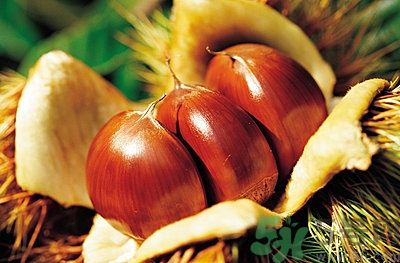 空腹能吃生板栗嗎？生吃板栗有什么好處？