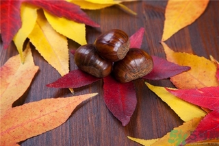 板栗和牛奶可以一起吃嗎？板栗和酸奶能一起吃嗎？