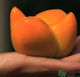 空腹吃柿子好嗎？空腹吃柿子會怎么樣？