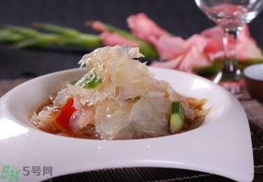 海蜇是葷菜還是素菜？海蜇是動物還是植物？