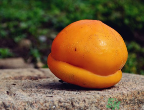 柿子可以和香蕉一起吃嗎？香蕉和柿子能一起吃嗎？