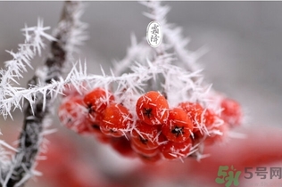 霜降出生的孩子好嗎？霜降出生的寶寶怎么取名？