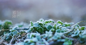 霜降出生的孩子好嗎？霜降出生的寶寶怎么取名？