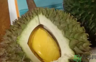 榴蓮吃多了會怎么樣？榴蓮吃多了好嗎？