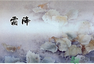 霜降為什么要吃柿子？霜降吃柿子有什么好處？