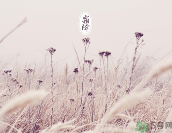 霜降為什么要吃柿子？霜降吃柿子有什么好處？