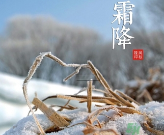 霜降為什么要吃柿子？霜降吃柿子有什么好處？