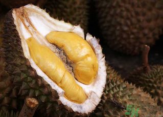 榴蓮一次吃多少合適？榴蓮一天最多吃多少？