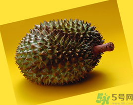 榴蓮可以冷凍保存嗎？榴蓮放冰箱是冷藏還是冷凍？