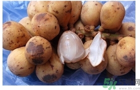 椰色果的功效作用 椰色果怎么吃？