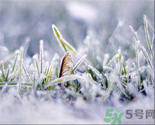 霜降吃什么?霜降養(yǎng)生食譜 霜降吃什么?霜降養(yǎng)生食譜