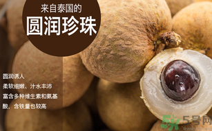 泰國龍眼和普通龍眼什么區(qū)別？泰國龍眼和普通龍眼哪個好？