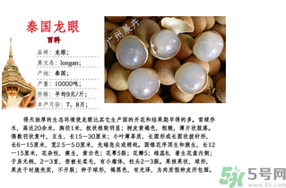 泰國龍眼什么時(shí)候上市？泰國龍眼多少錢一斤？
