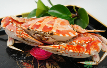 海蟹可以冷凍保存嗎？海蟹冷凍能保存多久？