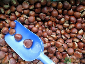 吃板栗肚子脹氣怎么辦？吃板栗對(duì)胃好嗎？