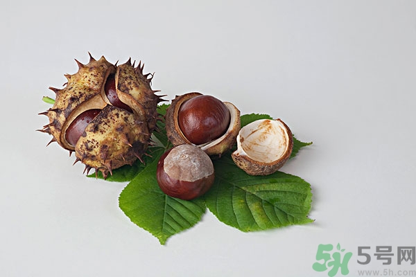 吃板栗肚子脹氣怎么辦？吃板栗對(duì)胃好嗎？