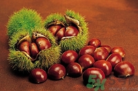 板栗和海鮮能一起吃嗎？板栗和海鮮能同食嗎？