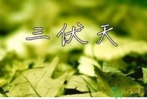 三伏天可以理發(fā)嗎？三伏天為什么不能理發(fā)？