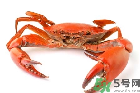懷孕可以吃螃蟹嗎？懷孕吃了螃蟹怎么辦？
