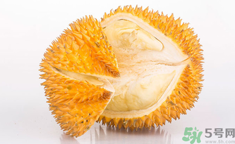 早上空腹吃榴蓮好嗎？早上空腹能吃榴蓮嗎？