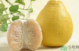 柚子為什么是苦的？柚子為什么會(huì)苦？
